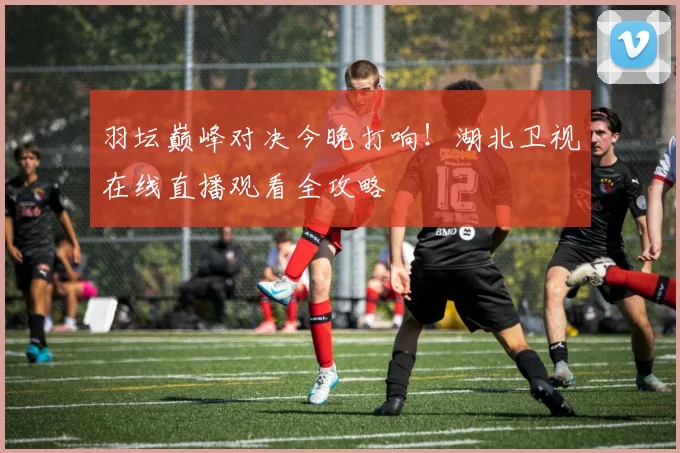 羽坛巅峰对决今晚打响！湖北卫视在线直播观看全攻略