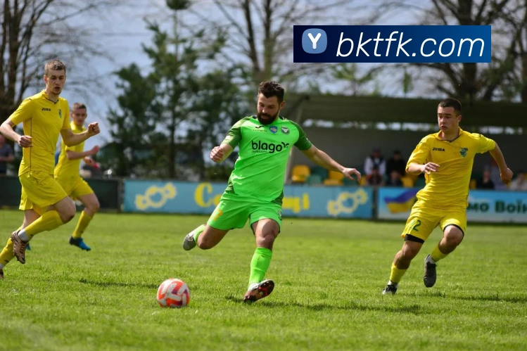 开云手机网页登录网页平台生态图